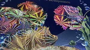 Holographic Cold Foil Screen Printing Line
